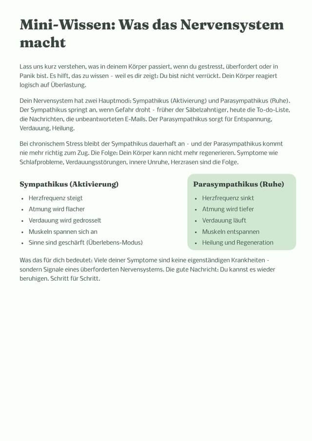 Buchseite: Was das Nervensystem macht